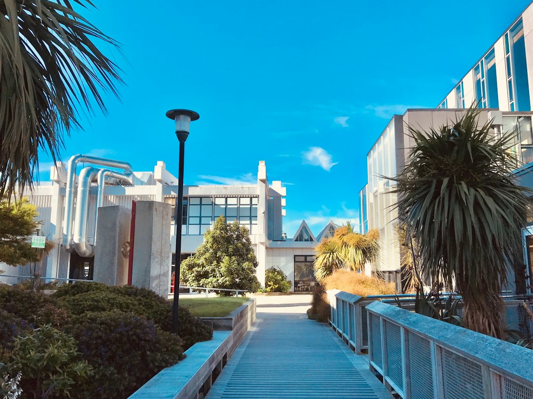 UCLA 손주 졸업식 참석, 한길택시로 편안하게 다녀오세요